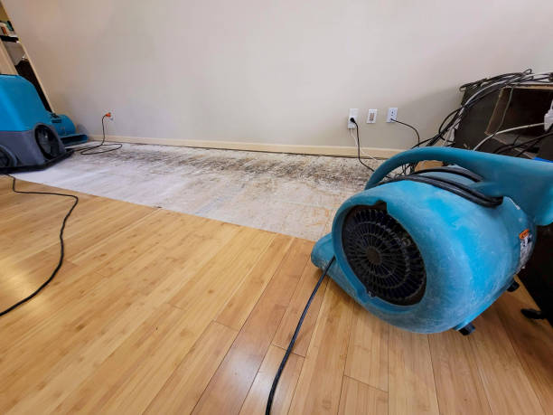 Professional Basement Flood Cleanup technician working in Camdenton, MO